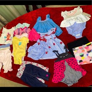 15 piece 3-6 Month Girl’s Lot